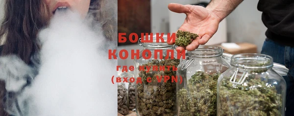 ГАЛЛЮЦИНОГЕННЫЕ ГРИБЫ Гусь-Хрустальный