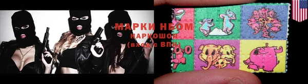 ГАЛЛЮЦИНОГЕННЫЕ ГРИБЫ Гусь-Хрустальный