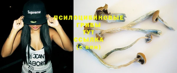 PSILOCYBIN Гусиноозёрск