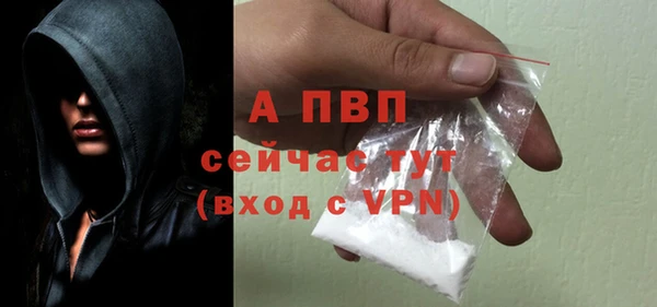 PSILOCYBIN Гусиноозёрск