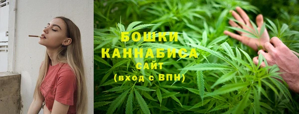 прущие крисы Вязьма