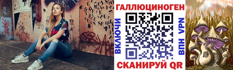 мега как войти наркотики Давлеканово Псилоцибиновые грибы мицелий